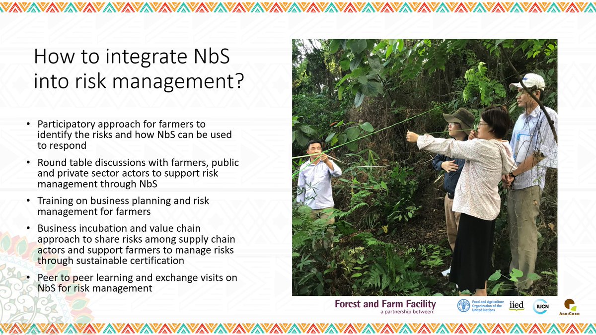  #ForestFarmFacility is using a number of different tactics to support farmers to integrate nature-based solutions into risk management.  #DCdays20