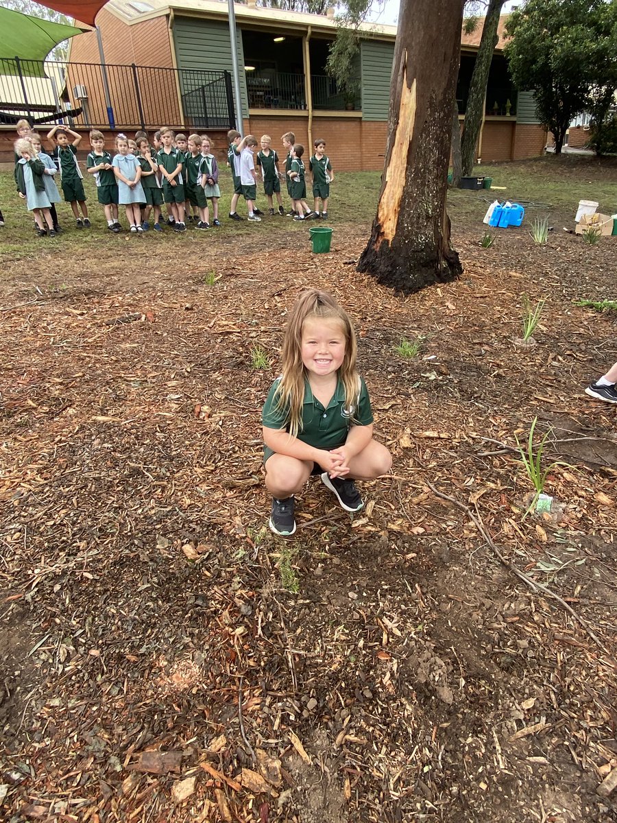 Grose View Public School tweet media