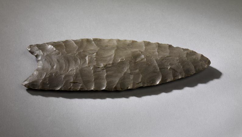 5. Clovis Spear PointThe ripples on this spear point are beautiful, but deadly.They cause intense bleeding no matter where you hit. The blood loss weakens the animal so you can eventually finish it off.