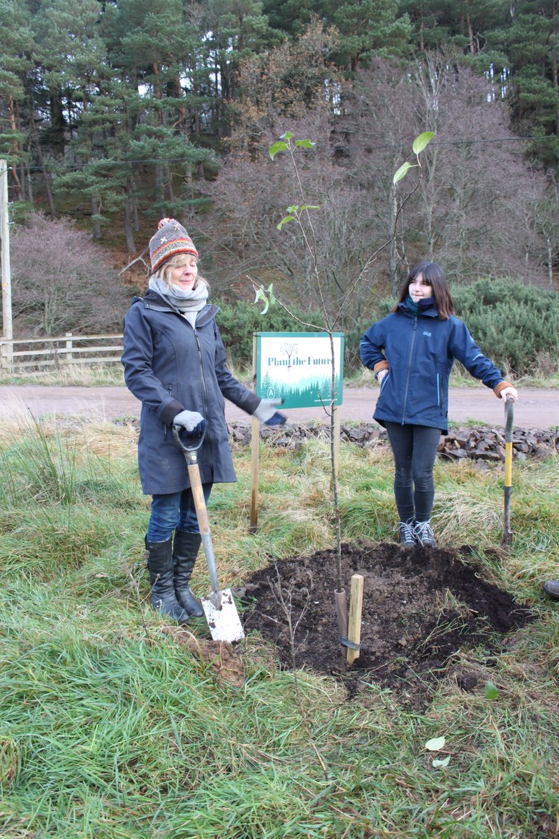 traquairhouse's tweet photo. Helping to plant a crab apple trees today with my daughter, Isabella. This is part of the Damhead project where we have already planted 350,000 trees and a further 400,000 in the next 8 weeks. #NationalTreeWeek https://t.co/UhGAAkenba