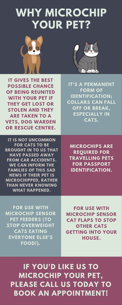 There are so many reasons to microchip your pet, aside from it being a legal requirement for dogs in the UK! If you'd like to chat to us to find out more about what's involved with microchipping, how it all works, and why we recommend it, please get in touch 🐶🐱🐰