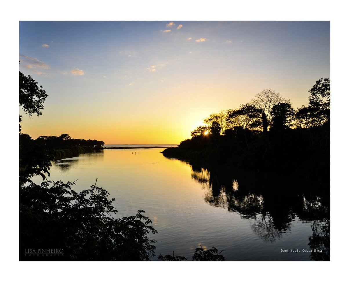 lisapinheiro's tweet photo. Dominical Sunset ❣️ This and other Costa Rica prints for sale here: https://t.co/K1nia0CLwx #photography #sunsetphotography #sunset #costarica #lisapifoto #dominicalcostarica https://t.co/mUAB8VQymb