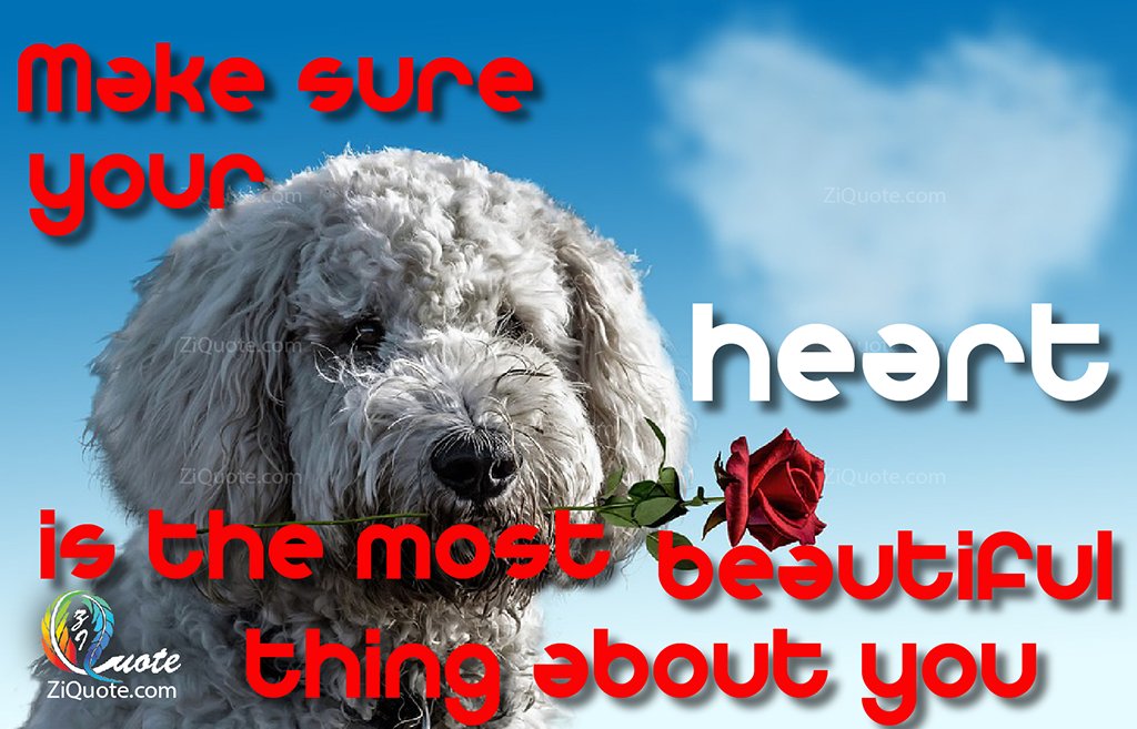 ZiQuot's tweet photo. Make sure your heart is the most beautiful thing about you.
.
https://t.co/grcm953Adk
#motivational #motivation #motivationalquotes #quotes #mindset #inspiration #goals #positivity #believe #success #inspirationalquotes #inspire #positivevibes #love #life #Entrepreneurship https://t.co/jgvla3Xuoh