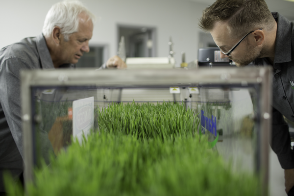 VFDaily's tweet photo. Hamill has moved into agritecture @HamillMac
https://t.co/CNHD1uvCh4 https://t.co/IAQ1w05UOp