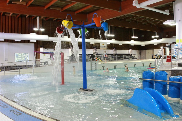 CityFortSask's tweet image. Story: Family bookings at the Dow Centennial Centre and lane swim times at Harbour Pool. bit.ly/3mDw9g2 #FortSask
