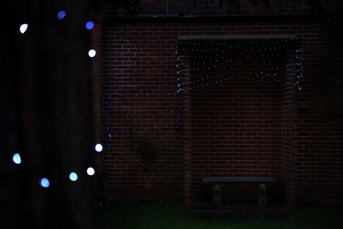 Many thanks to our wonderful <a href="/RBCSGrounds01/">ReadingBlues Grounds</a> team for helping our school to feel a little bit Christmassy! With trees on the roundabout, in Stone Hall and the Sixth Form centre, they've certainly helped to spread some festive cheer!