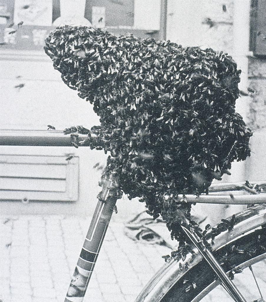 Meret Oppenheim, “Bicycle Seat Covered with Bees,” 1952 8/12