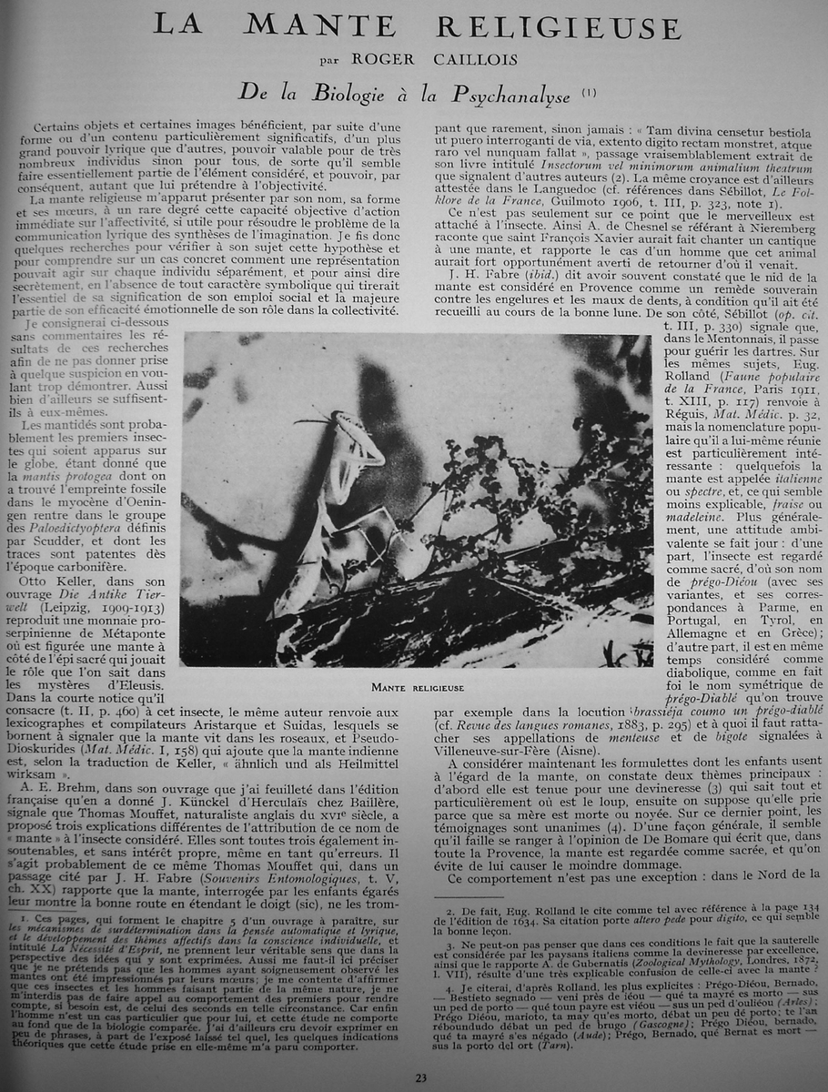 Roger Caillois, “La Mante religieuse,” Minotaure (1934) 4/12