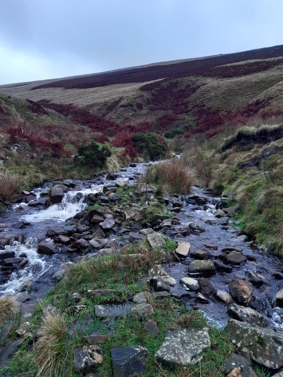 PendleSoftware's tweet image. Start work early and justify a dinner-time run on Pendle. Breaks up a day on the computer nicely.