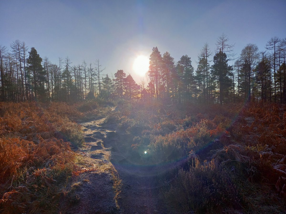 Taindogg's tweet photo. Love a Trail Run. No Goals just Peace. Have a great day chiefs! ๐ค๐ฝ #RebuildTheMachine https://t.co/mUuTQugkrW