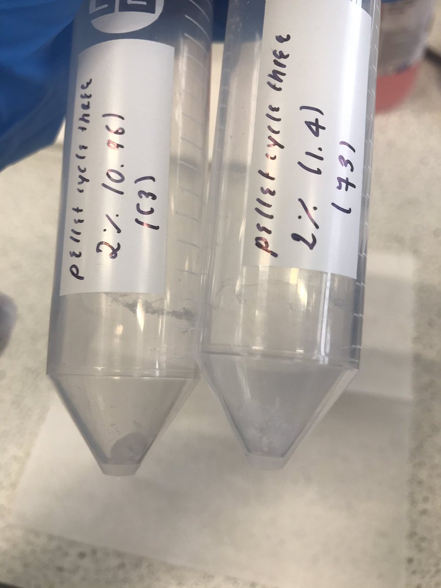 IsMiseSaoirse's tweet photo. Polyelectrolye complex pellets, trust me when I say that I have never been more happy to see you! ๐งช
#polyelectrolytecomplexes #materialscience #lyophilisation #smallvictory #phdchat #phdlife #AcademicTwitter @OpenAcademics https://t.co/gmT65oQX5n