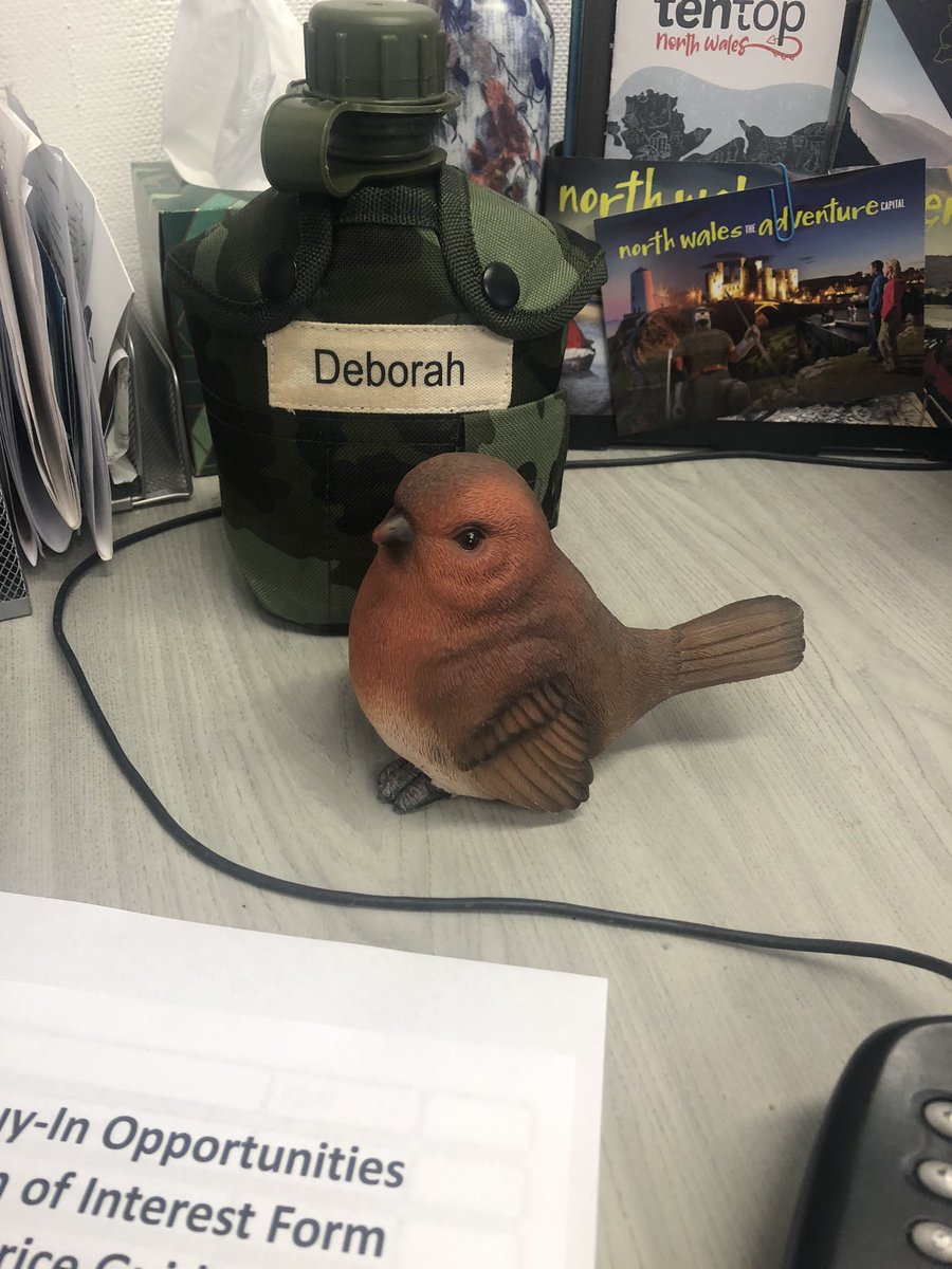 Time for evil Robin to make his annual appearance <a href="/NWTBiz/">North Wales Tourism</a> <a href="/EirlysJones5/">Eirlys Jones</a> <a href="/jjjj86/">Jim Jones</a> <a href="/manorhaus/">manorhaus</a>