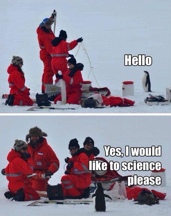 SPREAD THE WORD: 
I'M HIRING PHD STUDENTS FOR FALL 2021 AT <a href="/UPFBarcelona/">UPF Barcelona</a> / @DTIC_UPF!!

The project is about reinforcement learning theory and is funded by my recent <a href="/ERC_Research/">European Research Council (ERC)</a> Starting Grant. (#ERCStG)

Details: cs.bme.hu/~gergo/jobs.ht…

Deadline: Feb 12, 2021