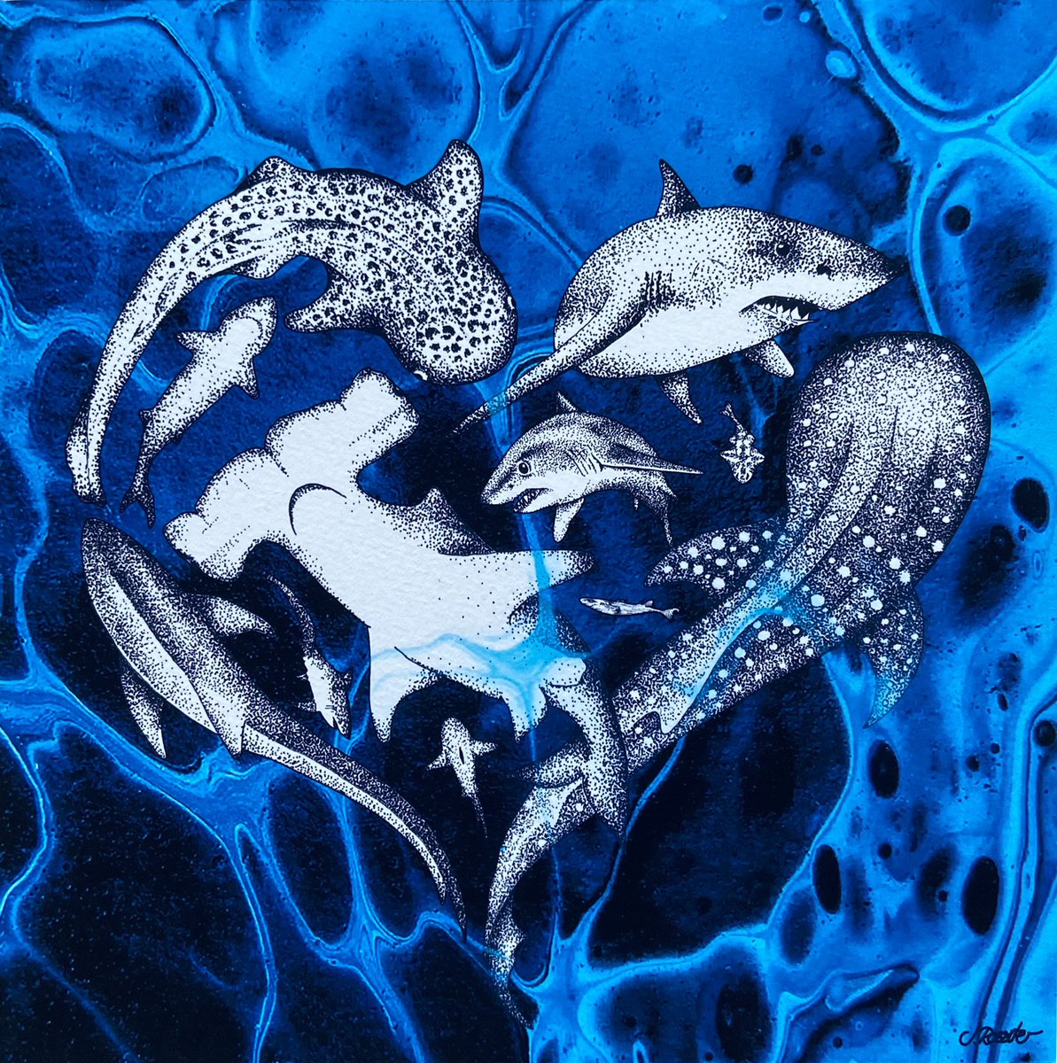 BlueOceanWatch tweet picture