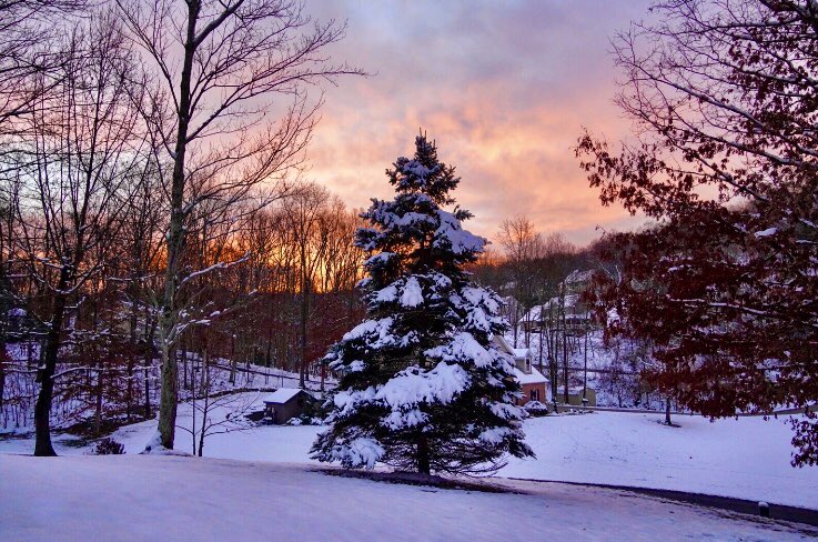 KateOnorato's tweet photo. Morning view https://t.co/0AmOHA98lq
