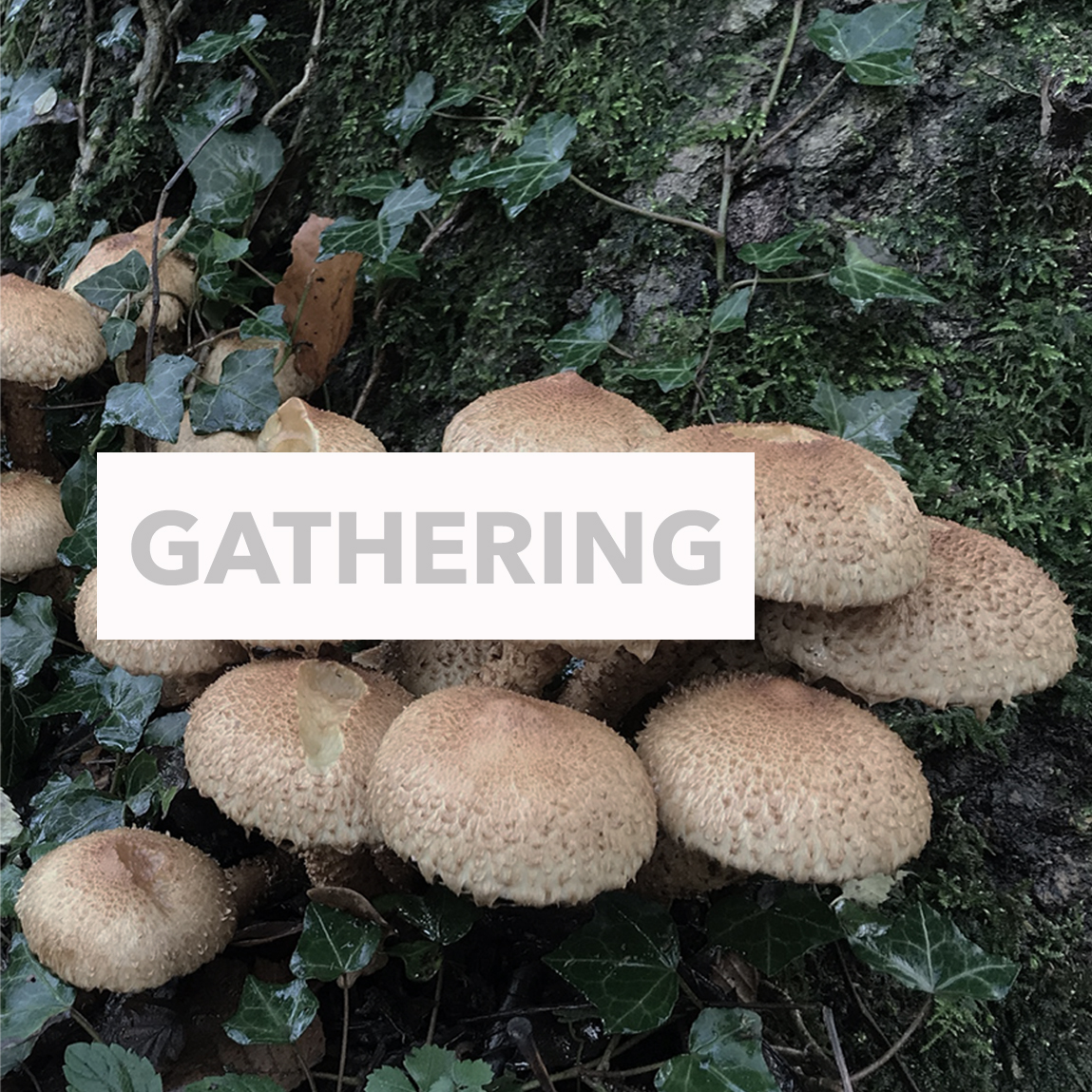 Mae ein hail bodlediad yn fyw! Rydym yn trafod yr hyn sy'n dod â phobl ynghyd gyda'r artist <a href="/_OwenGriffiths_/">Owen Griffiths</a>  a pham mae cynulliadau yn eu hanfod yn optimistaidd bit.ly/2VJNzff <a href="/GermanEmbassy/">German Embassy London</a> <a href="/GI_London1/">Goethe-Institut London</a>