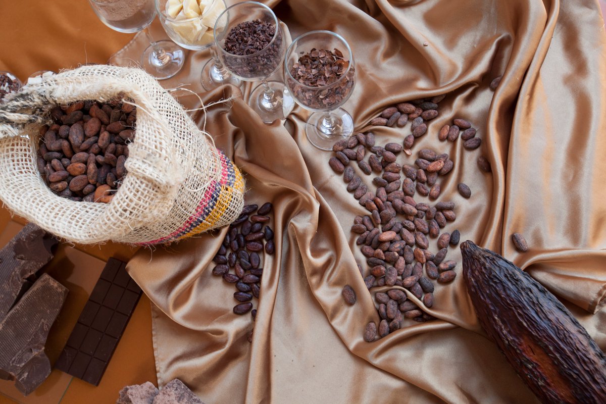 Las fortalezas del cacao ecuatoriano superan las expectativas por la intensidad de su sabor, que lo adquiere por el clima, la ubicación geográfica y sobre todo por la pureza genética. #MeQuedoEnEcuador