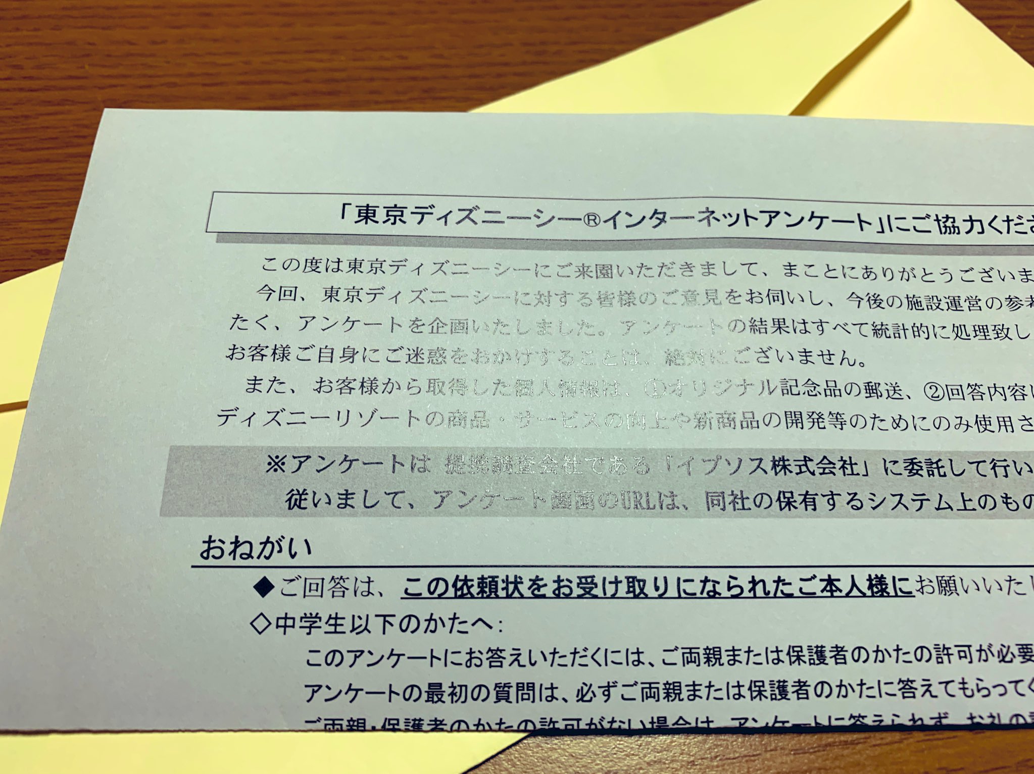 まゆ ディズニー専用アカ 先日行ったシーで入口で頼まれたアンケート回答しました というか 期限の1週間ギリギリできました というのも スマホではできない上に家の はセキュリティの関係か アンケートページに繋がらない というわけでipadでやっ