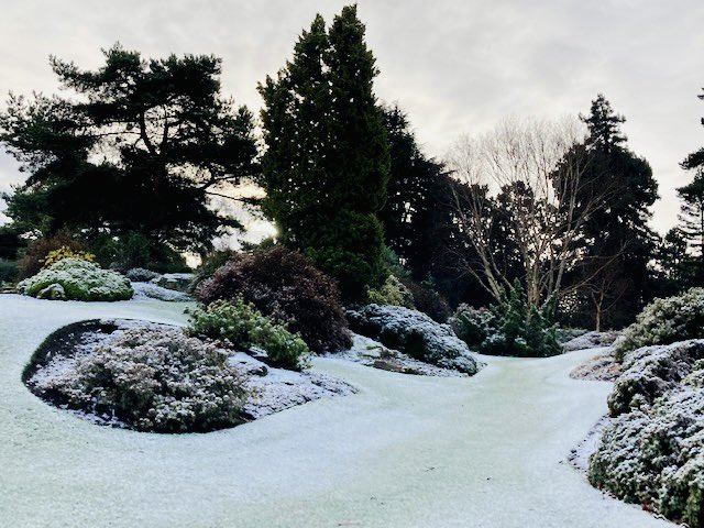 Beautiful Royal Botanic Gardens in #Edinburgh this morning with a magical dusting of #snow <a href="/TheBotanics/">Royal Botanic Garden Edinburgh</a> <a href="/edinburgh/">Edinburgh</a> <a href="/edinspotlight/">Edinburgh Spotlight</a> #foreveredinburgh #Scotland #Winter #WinterIsComing #WinterIsHere #ScotlandIsNow