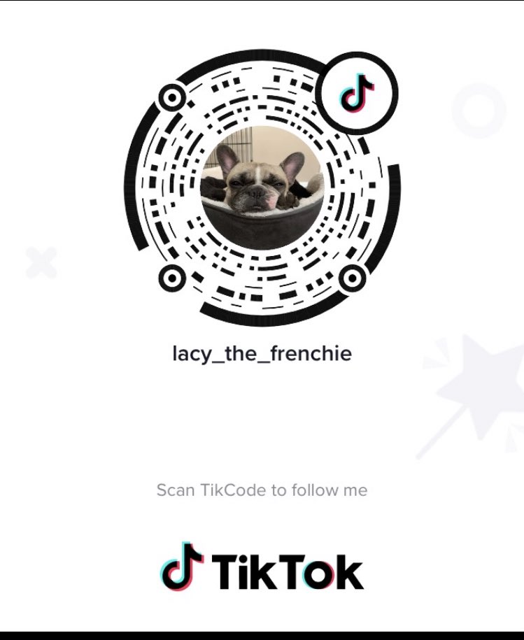 LacyDoggo's tweet image. Come see me🐶