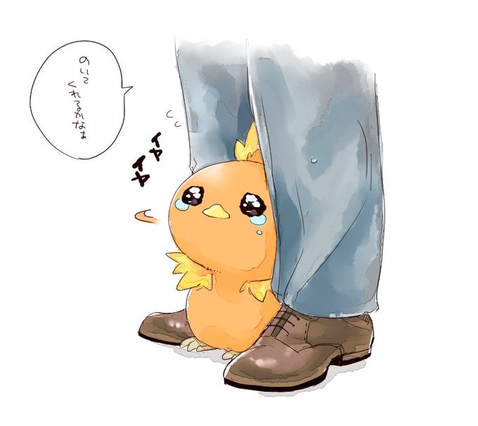 アチャモのtwitterイラスト検索結果 古い順