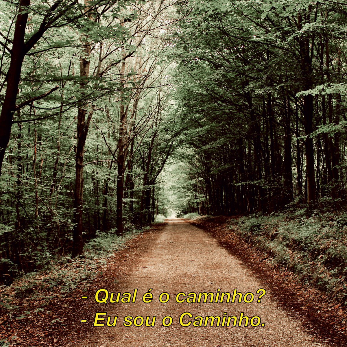 Ele é o Caminho. ✨🏃‍♀️💙
