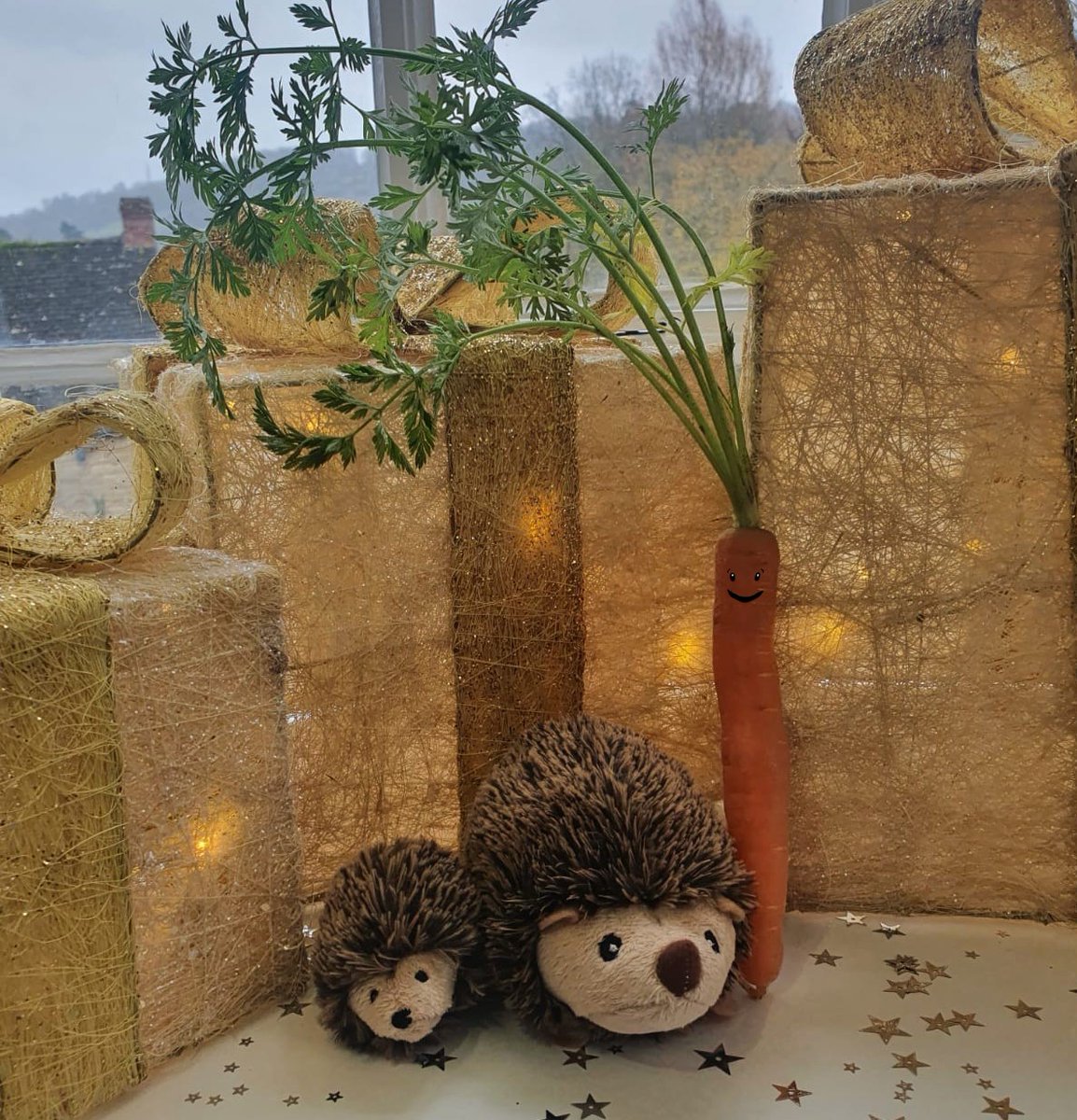 presentmill's tweet image. Back in stock! 
*carrot not included 😉
#Christmas2020 #giftinatin #presentmill #Christmasgifts #ChristmasGiftIdeas #giftsforkids