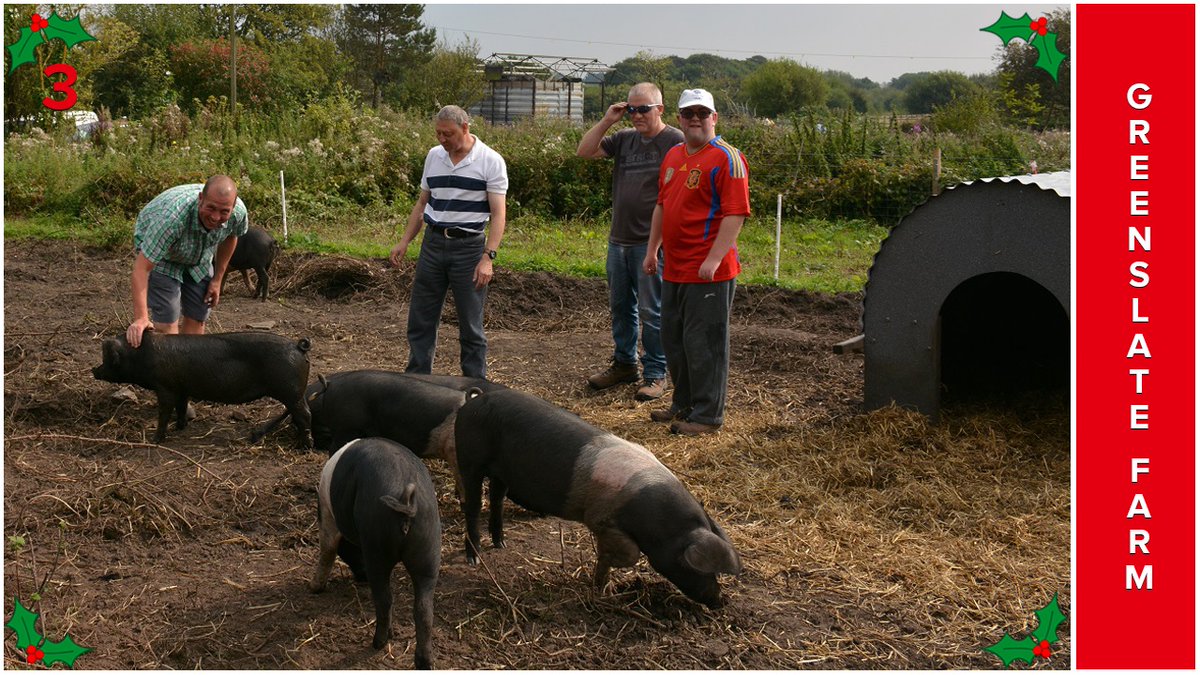 Wigan's  @Greenslate_Farm is a 30-acre community farm with crops, livestock, a market garden and managed woodland.They provide training, volunteering and specialist therapeutic services for local groups and individuals with special needs.Give them a follow to find out more.