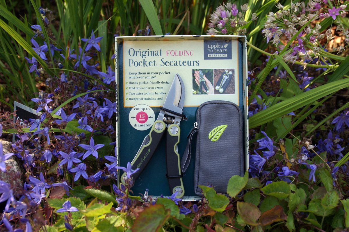 presentmill's tweet image. And don't forget our best selling secateurs are also now back in stock! 
#secateurs #backinstock #gardengifts #Christmas2020 #presentmill 
presentmill.com