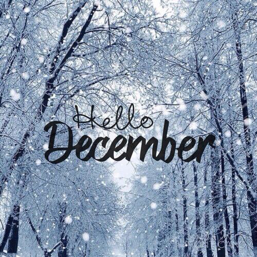 WebTrafficKings's tweet photo. Monthly Hits of December on Spotify – Best hits for the month. Updated Weekly. Listen , Follow and Submit Music Here https://t.co/0kUAQg0PXl Contact : indiecastle@gmail.com Follow o... https://t.co/yvsAODoY19 https://t.co/DraZ72p95T