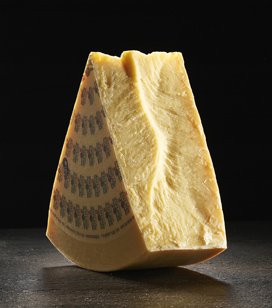 rachel shelley | sbrinzunderrated. graceful. striking. does a lot for the lgbt community.