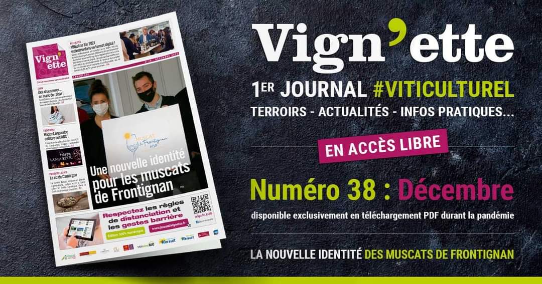 Le Journal Vign'ette du mois de décembre est enfin disponible en PDF est sur notre site internet.  
➡️ Retrouvez ce numéro ici : pdf.lu/OUOA
Bonne lecture!