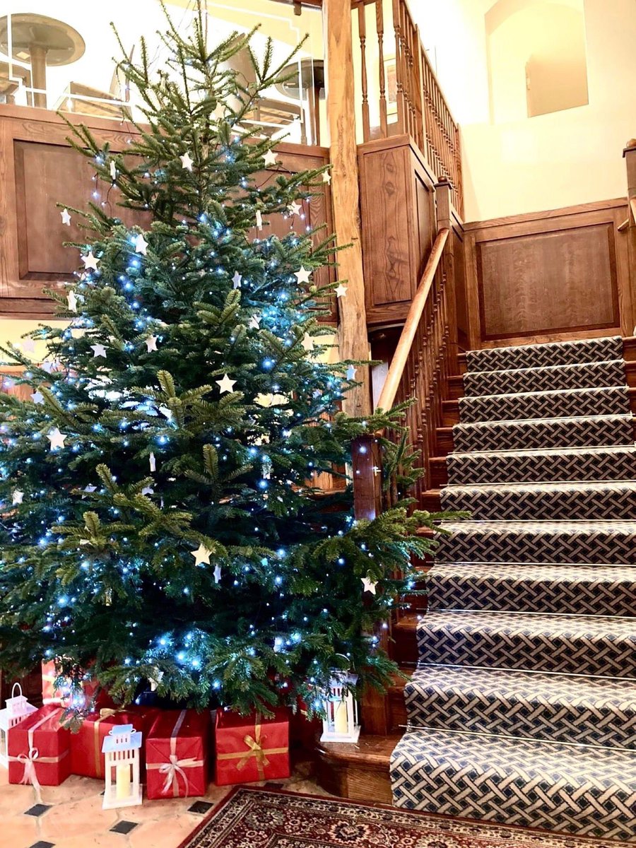 Solent Hotel & Spa tweet media