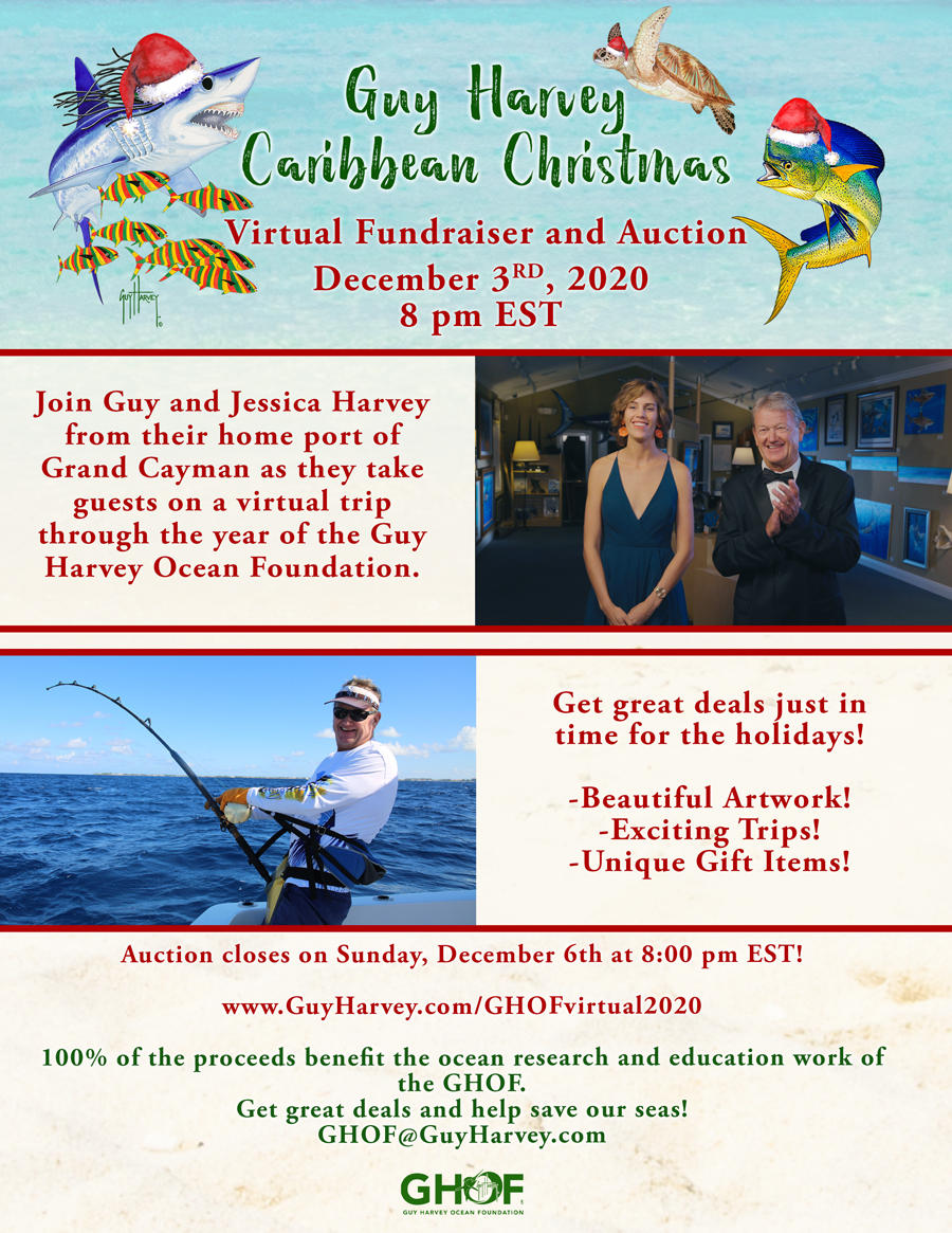 Mission Resolve tweet media