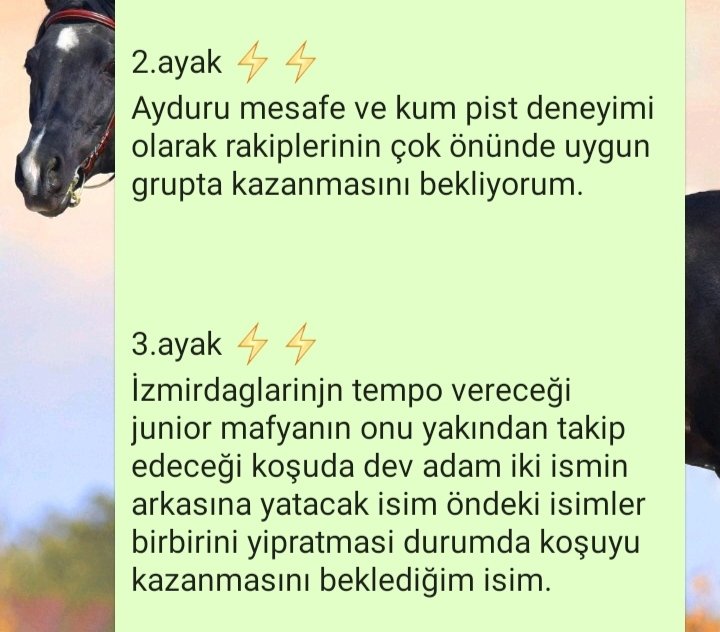 Alicengiz_42's tweet photo. #ayduru ve #devadam bankolari devamı yolda ⚡⚡ https://t.co/uOMUChRpaU