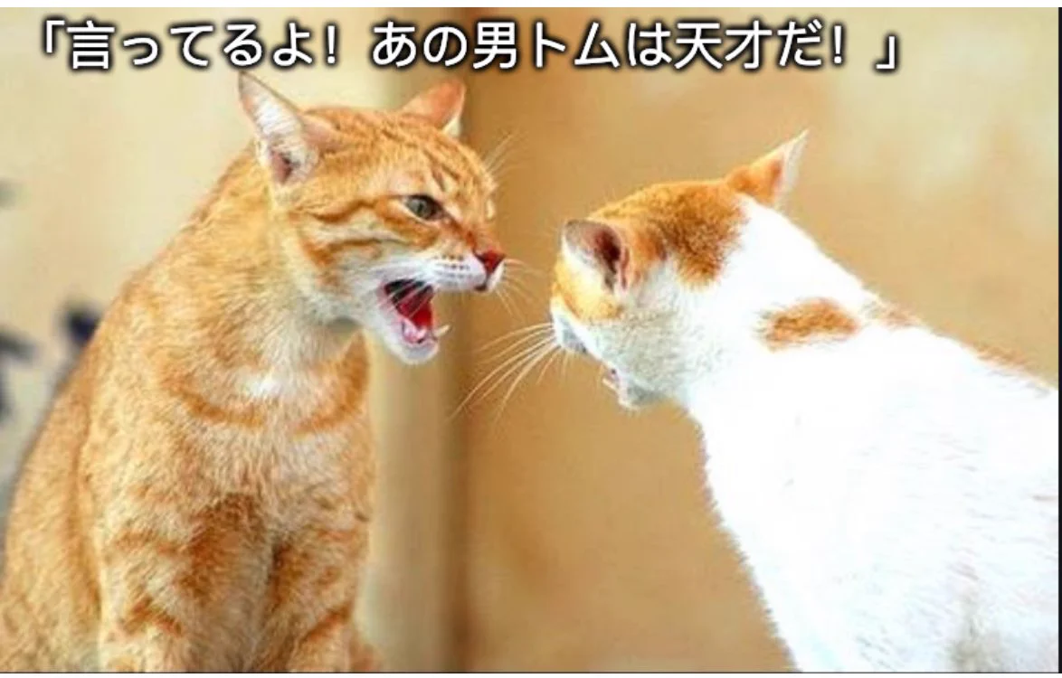 @ru_ruru831 彼らはネズミを捕まえる技術を研究しています。 