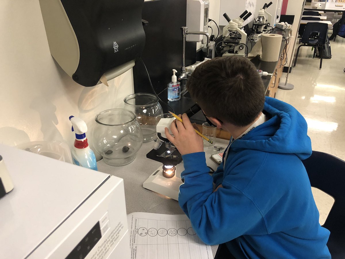 hillhollly's tweet photo. Microscopes are such a fun part of GT science - I wasn’t going to let COVID take that away from my students. Nothing creative scheduling can’t fix! #SocialDistancing #KMSGT_Science #KMS_Science @Killian_MS @KillianPTA https://t.co/AhE9ArNlOz