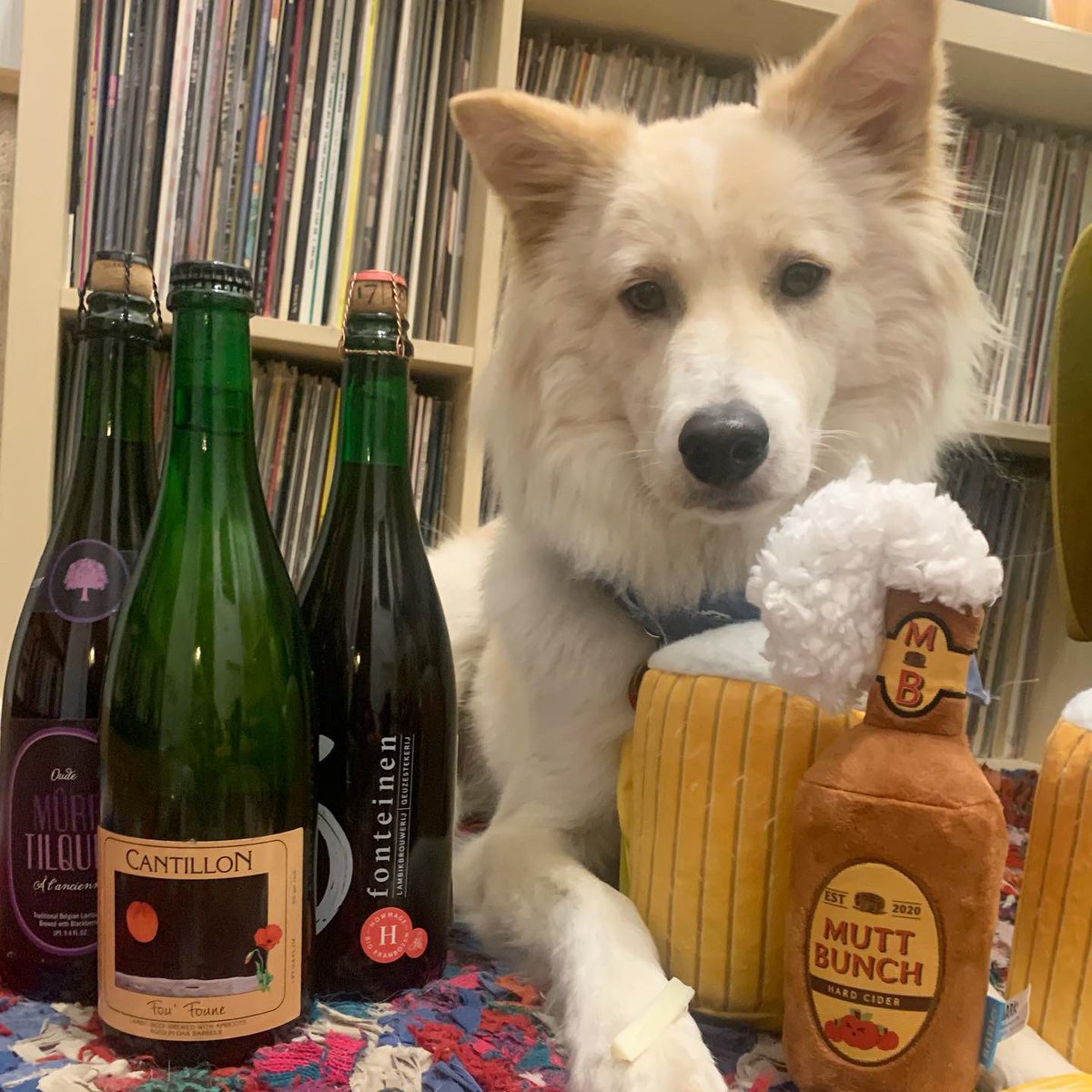 MeanOldTom's tweet photo. Lambic raffle to benefit @koreank9rescue 🐶 Win #cantillon #tilquin #driefonteinen ! Save Dogs, win beer, &amp; help #bandogmeattrade details:  https://t.co/YsannHSEft #craftbeer #lambic #beerraffle https://t.co/eHjGpzHL4K