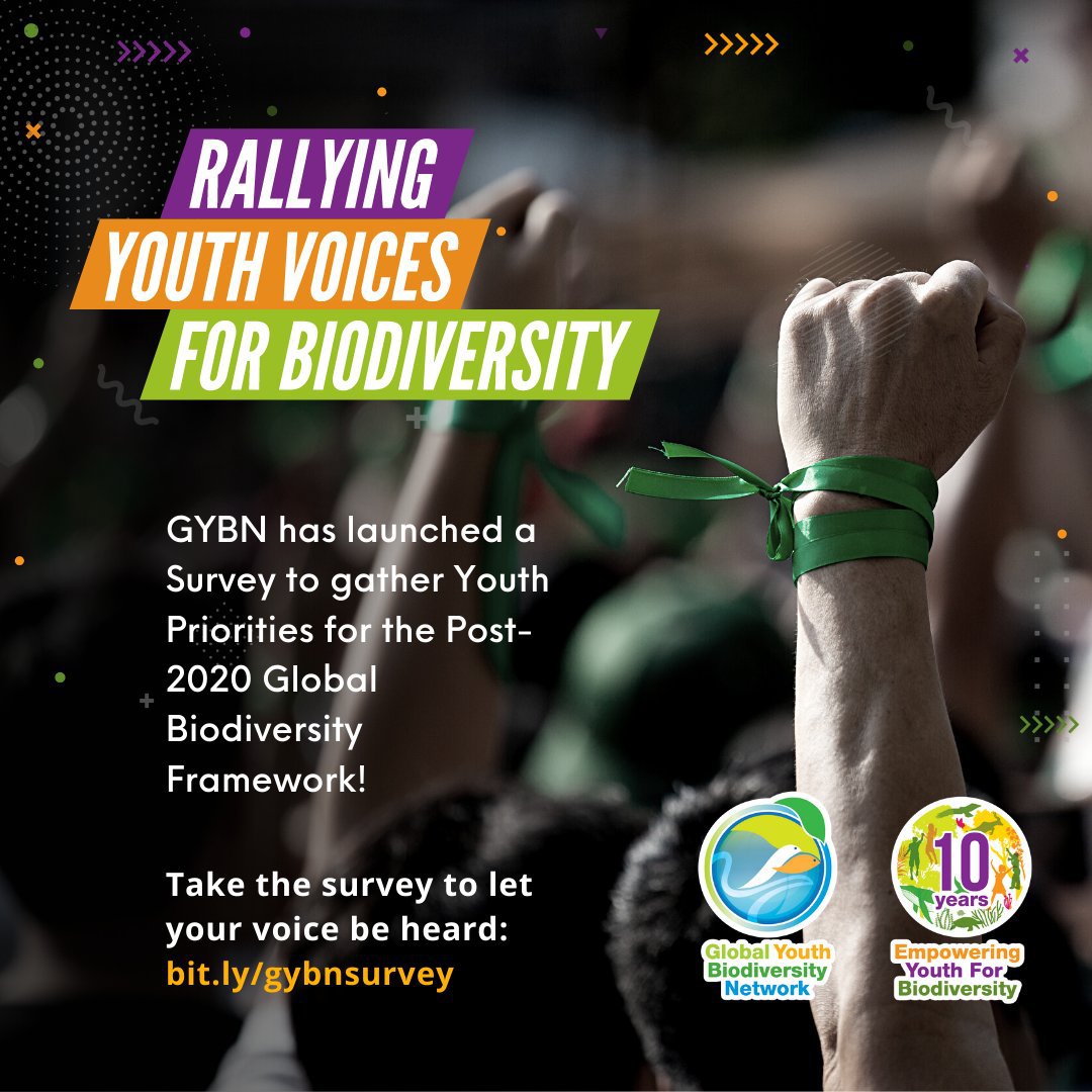 As 2020 draws to a close, share your views on the future of #biodiversity!

@gybn_cbd invites you to fill out their survey on youth views & priorities for the #post2020 framework.

Make your voice heard: bit.ly/gybnsurvey 

#IAmGYBN #BiodiversityNeedsYouTH #biodiversity2020