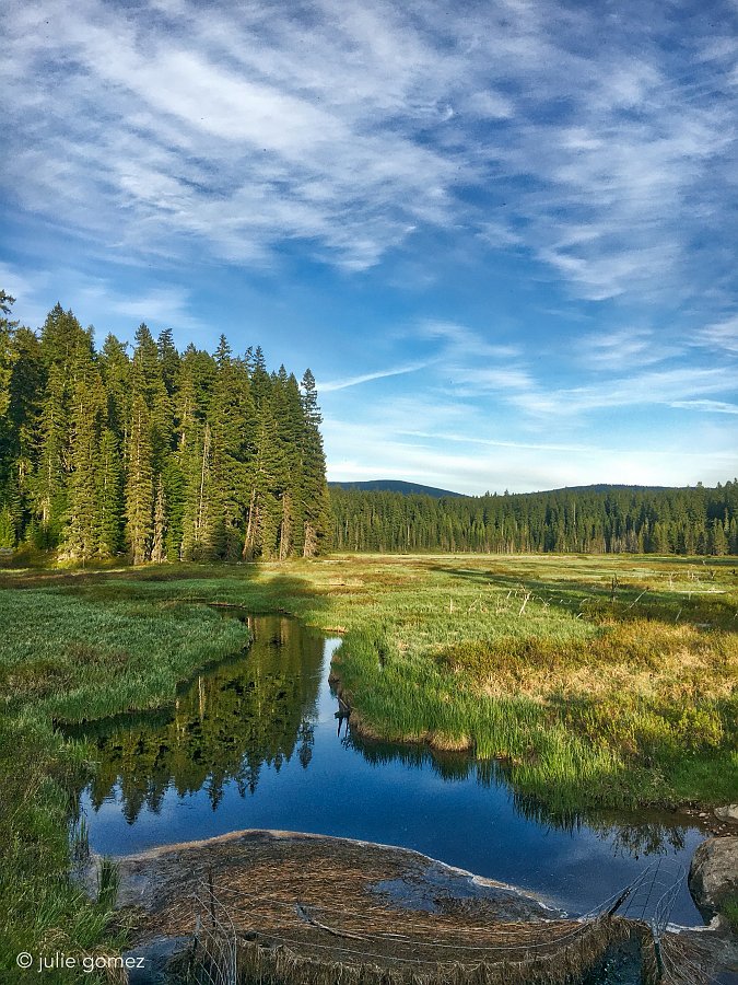 naturechronicle's tweet photo. in the meadow
a peaceful stream
becomes a powerful river
#haiku #OakGroveFork #ClackamasRiver #MHNF #iphoneography https://t.co/nbkFtSghvw