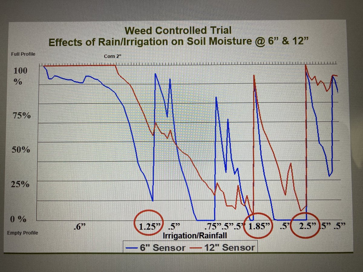 KacvinskyBob's tweet photo. Managing sub soil moisture profile with surface irrigation (.5-.75”) should prevent soil sensors in second foot from dropping below 75%. Once you dry out a subsoil layer surface irrigation is unlikely to reach for recharge. Roots in dry soil can’t take up nutrients without water https://t.co/PfzRaWbFV3