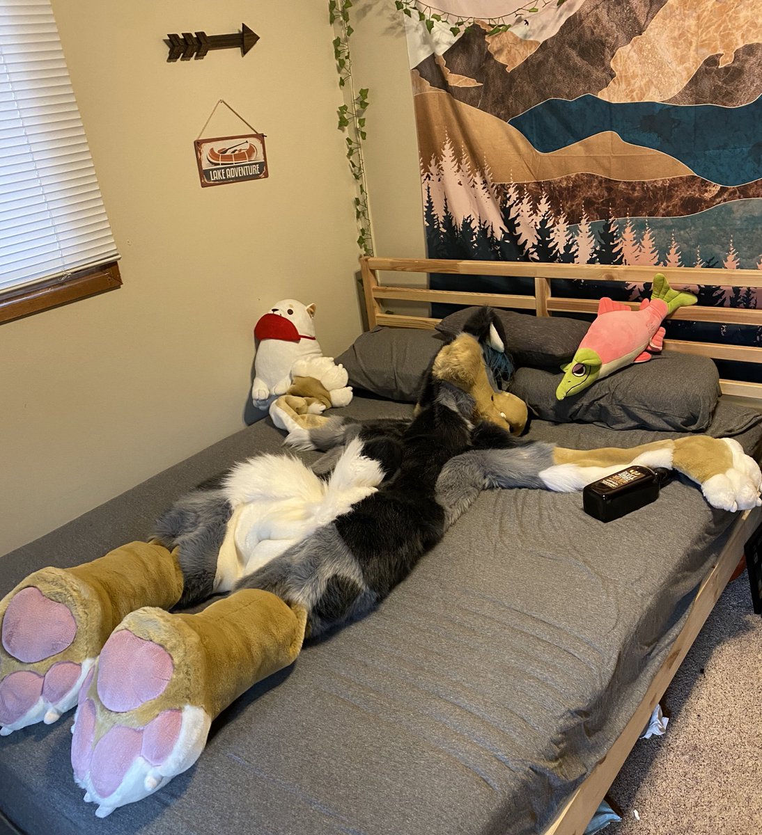 plantdogg's tweet image. How to find me at #mff2020 !!! :)))