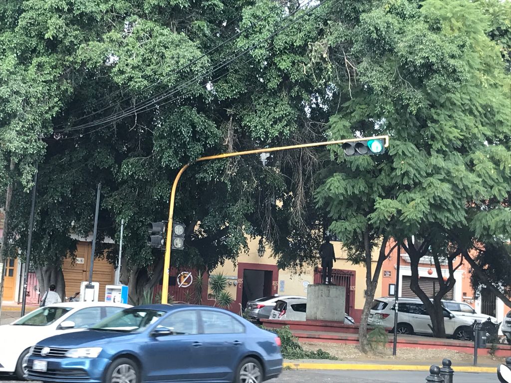 oaxacavial's tweet photo. Se agradece la intervención de los involucrados en despejar la visibilidad del semáforo sin dañar al árbol #reportecompleto
@TransitoyMovOax
@MunicipioSeguro
@MunicipioOaxaca https://t.co/Dd7gRcvNg5