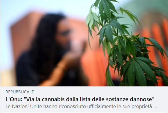 🟢È un passaggio importante quello segnato dalle Nazioni Unite che hanno recepito le indicazioni dell'OMS: 
col voto di ieri la cannabis viene tolta dalla tabella 4, quelle delle sostanze ritenute più pericolose in virtù dei suoi impieghi terapeutici 👇
repubblica.it/salute/2020/12…