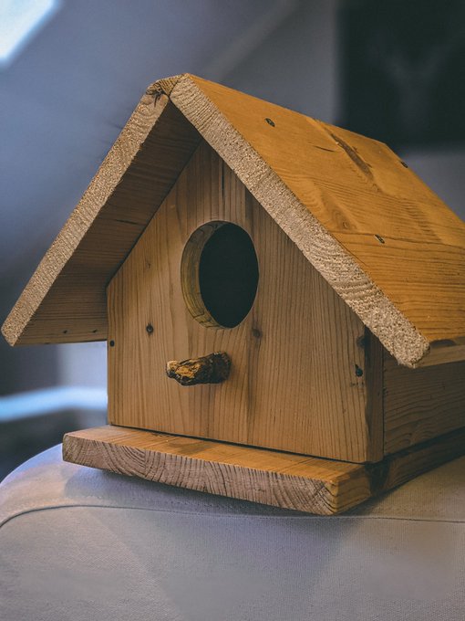 I built a little bird house as a christmas gift to my bf's parents.
Never did wood working but this was