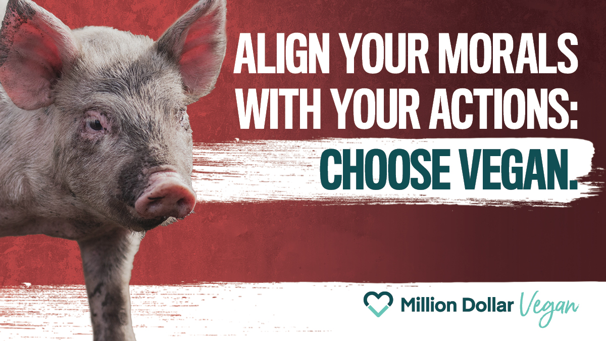 Most agree that forced reproduction, confinement, and killing purely for want, of any species, is unnatural and wrong.

Choosing a #vegan lifestyle isn't about changing who you are, it's about living in alignment with the #morals you already have.

🌱 MillionDollarVegan.com