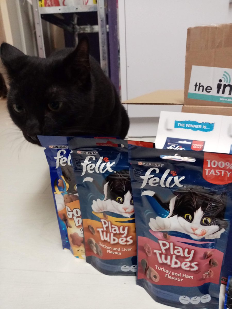 Shian_Ts's tweet photo. Great wee bundle of treats from Felix for the cats to try #FelixTreats_Insiders #TheInsidersUK https://t.co/opGixd7aIP