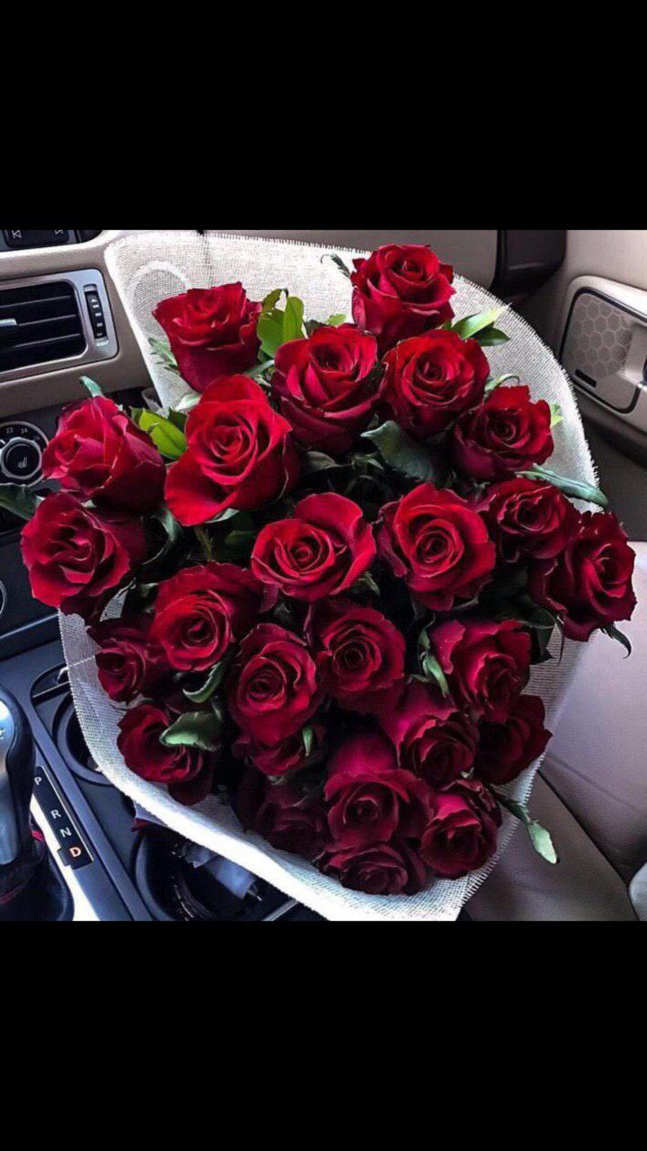 ���� ���� ������ �� ���� ������