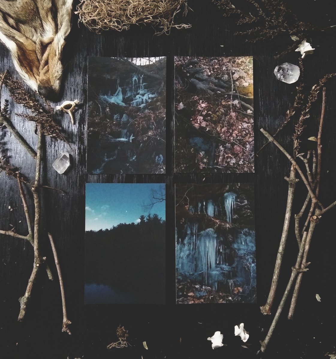 FemmCrow's tweet photo. These cute post card sized photography prints are available in my Etsy shop! https://t.co/GQzmI70lGQ
#wildernessculture #naturephotography #explore #darknaturalism https://t.co/pr45RAMi9l