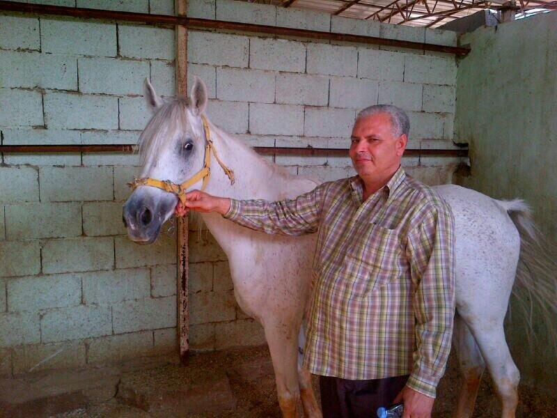  | Quelques publications sur les Hudhayl du nord de la Tunisie sur le hashtag "Beja, pays des Hudhayl" :  #باجه_ديار_هذيل_تونس